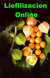 LIOFILIZACION EN PRODUCCION DE MEDICAMENTOS NATURALES