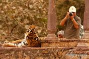 Rajasthan tours,  Rajasthan tour operator,  Tourist Places in Rajasthan