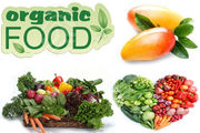 Global Organic Food Market Forecast: JSBMarketResearch