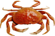 Crab Market Trends in China: JSBMarketResearch
