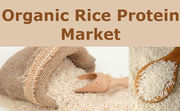 Organic Rice Protein Market reaches USD 96.5 million by 2021