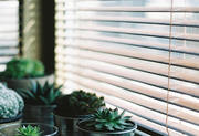 Wood Venetian Blinds in Essex
