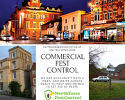 Contact 07487351351 | Commercial Pest Control Essex + North Essex Pest Control