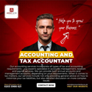 Seeking exceptional annual accountant services in Ruislio
