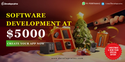 Premium Software Development @ $5000 – Limited Offer | Developcoins