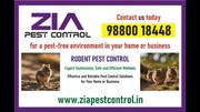 Zia Pest Control 