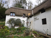 Thatch roof repairs
