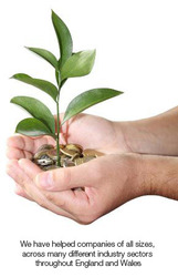 Save Your Business Now