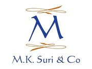 Immigration Specialist – Postal and Same Day Applications